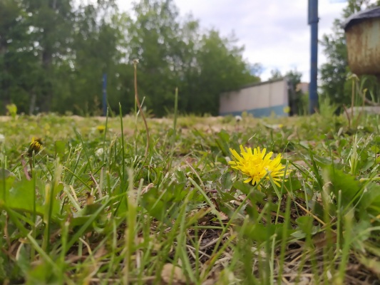 Стадион Авангард - 32.jpg